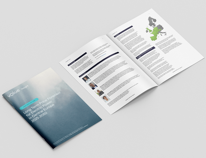 Preview of Insight's Long-Term Report