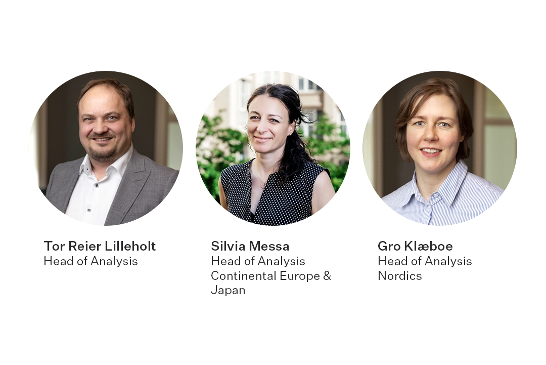 Insight analysis team